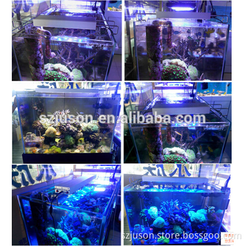 1200k cool white blue 14pcs*2w marine aquarium led light for aquarium marineland